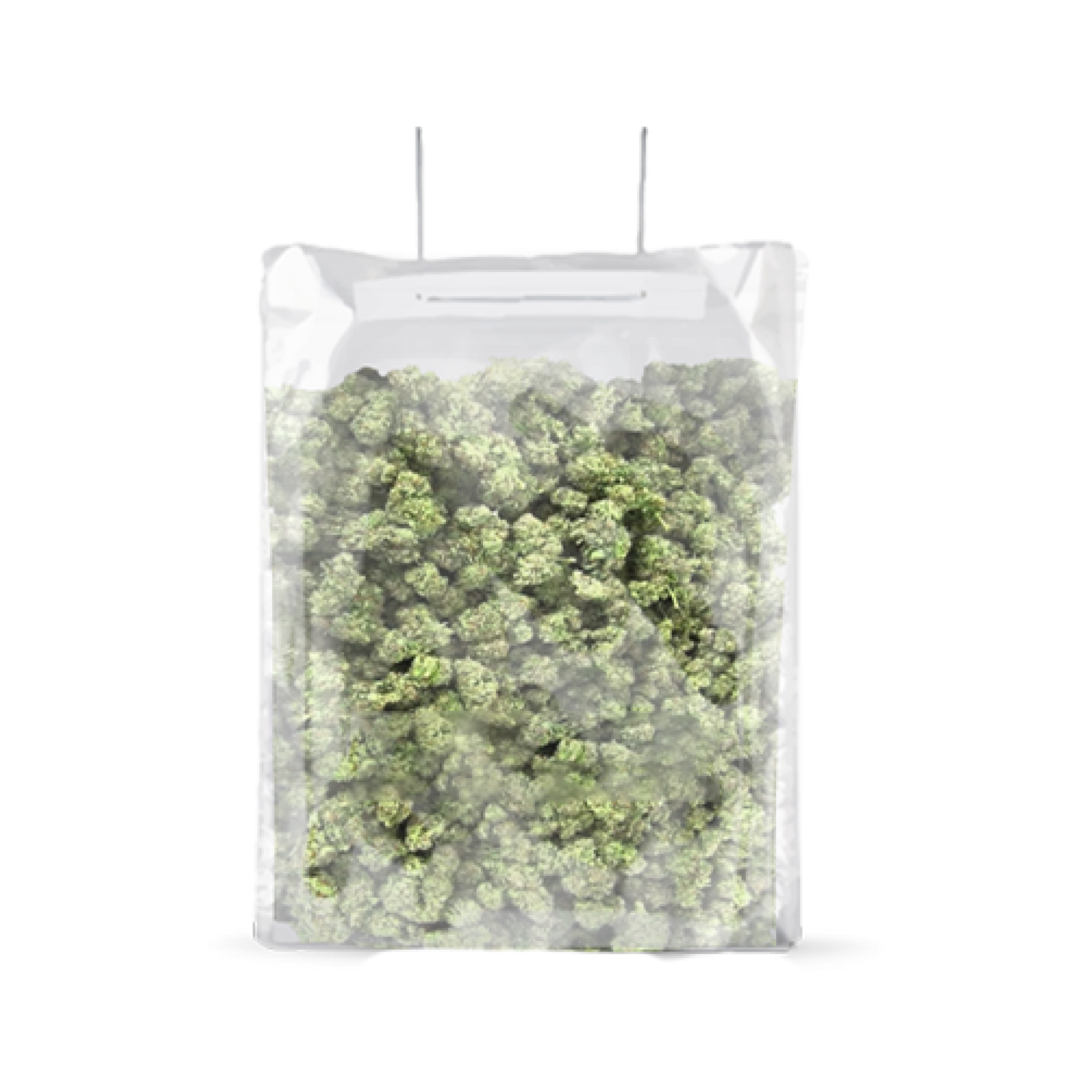 Grove Bag 5GAL Wicket 10CT