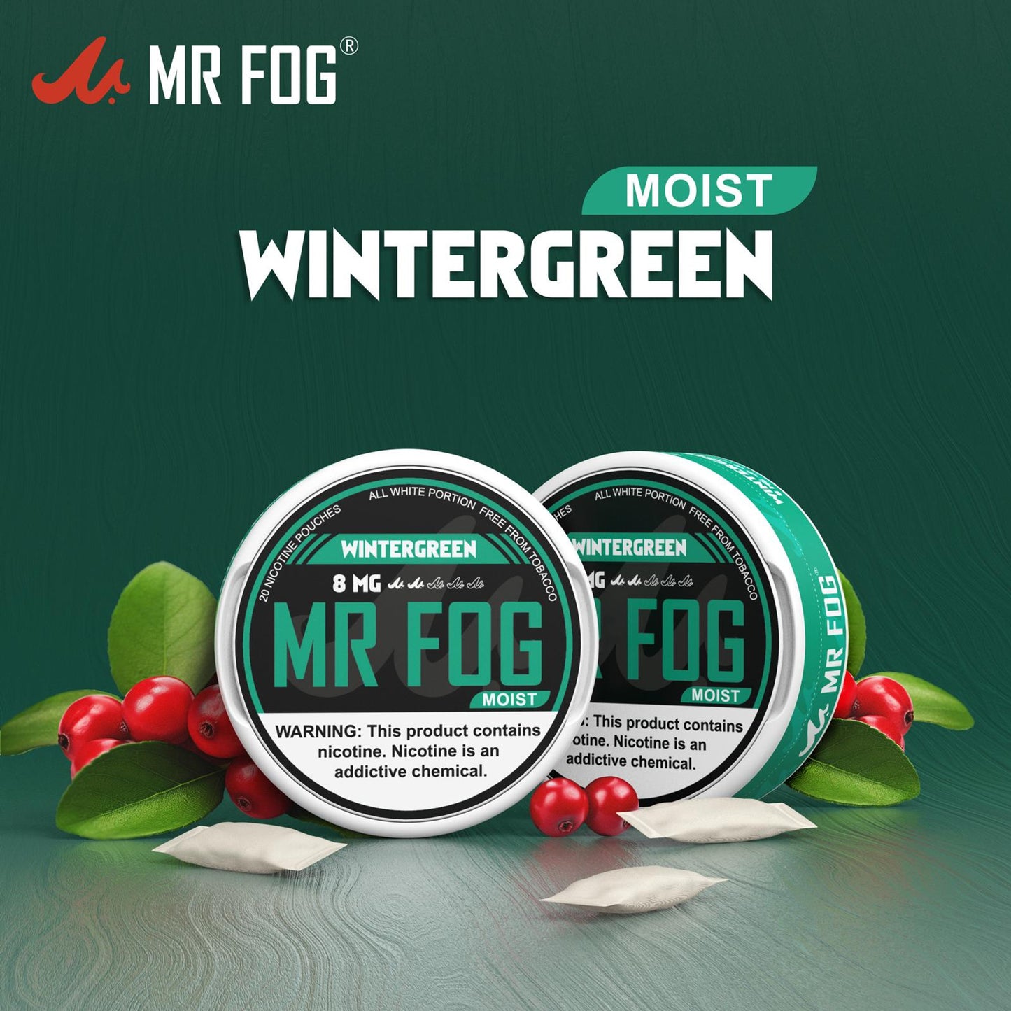 Mr. Fog Nicotine Pouches 20CT Wintergreen 8MG Moist